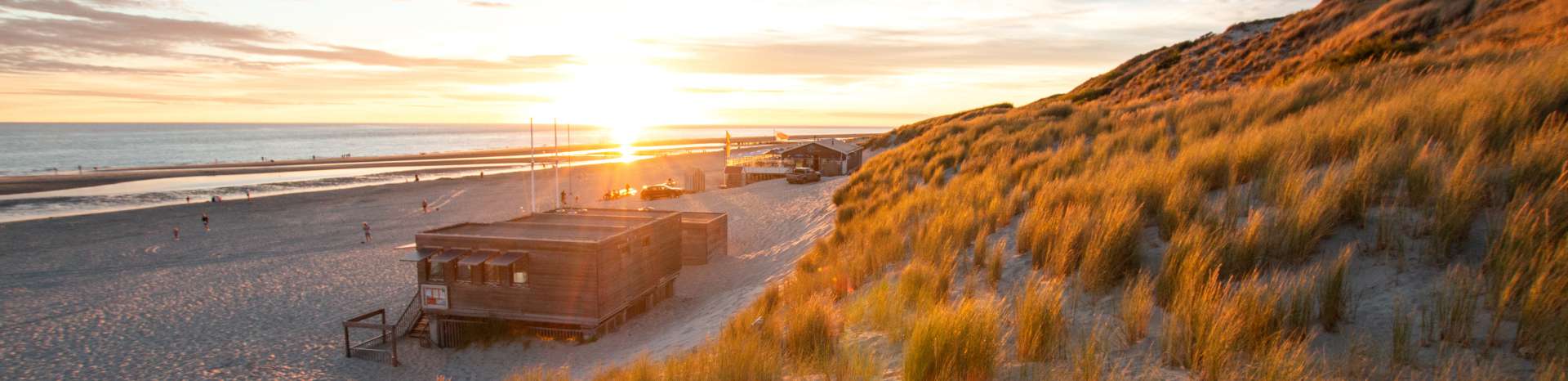 Letselschade advocaat Burgh-Haamstede | LetselPro